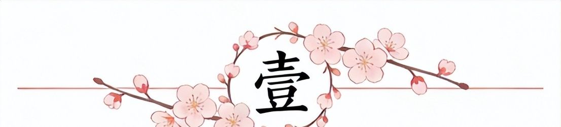 雷军抵达 今夜彭城奥体最大悬念落地